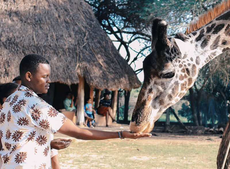 Let’s Help Our Amazing Nature